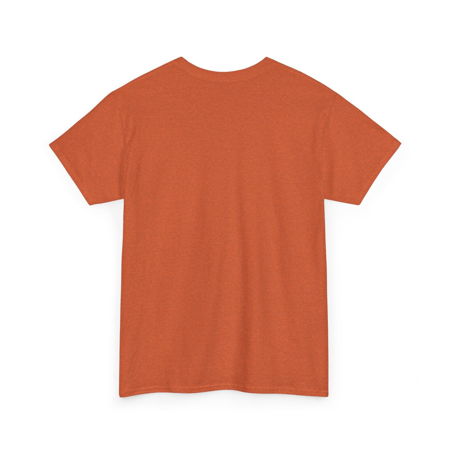 Unisex Heavy Cotton Tee - DMT Spheres No.2