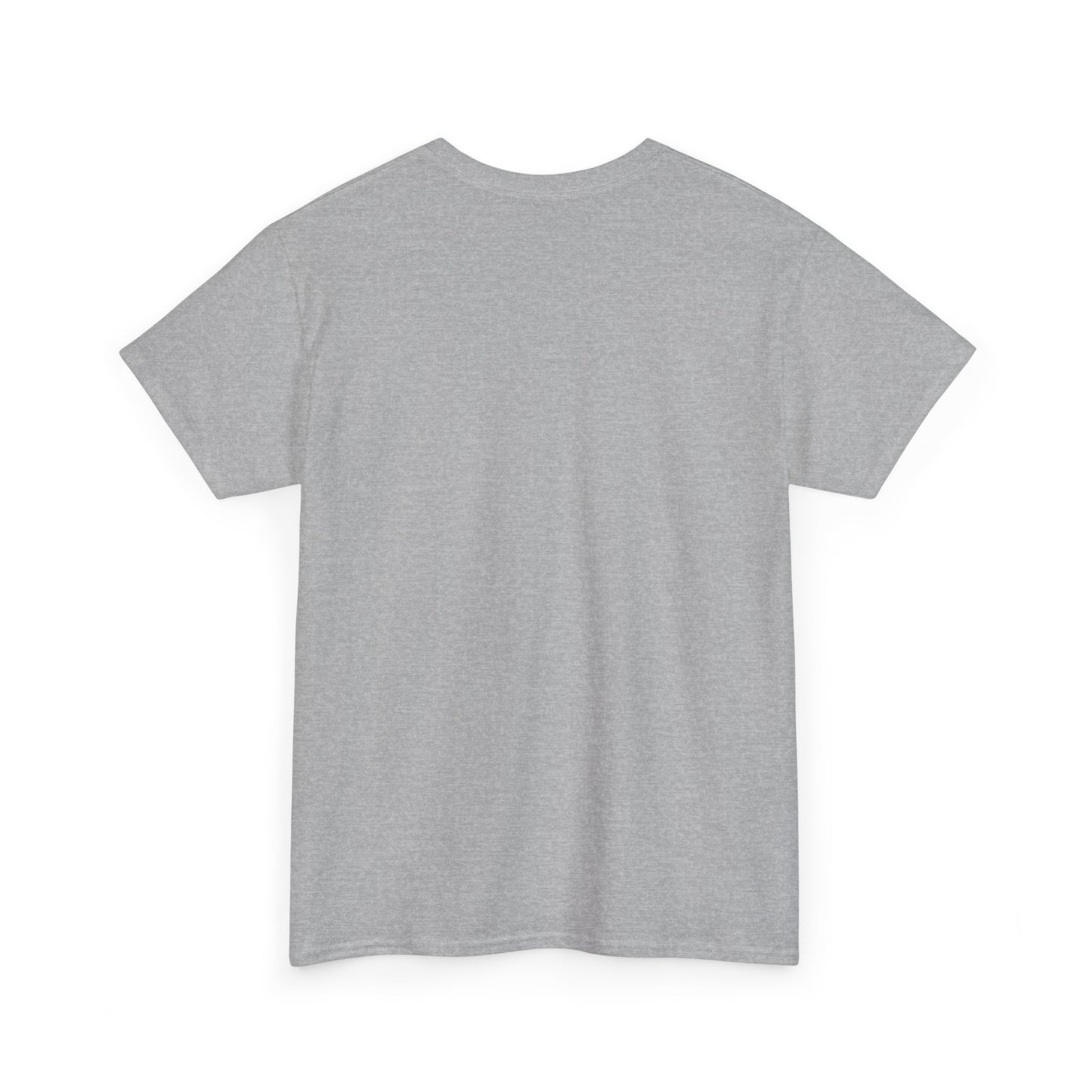 Unisex Heavy Cotton Tee - DMT Seer No.1