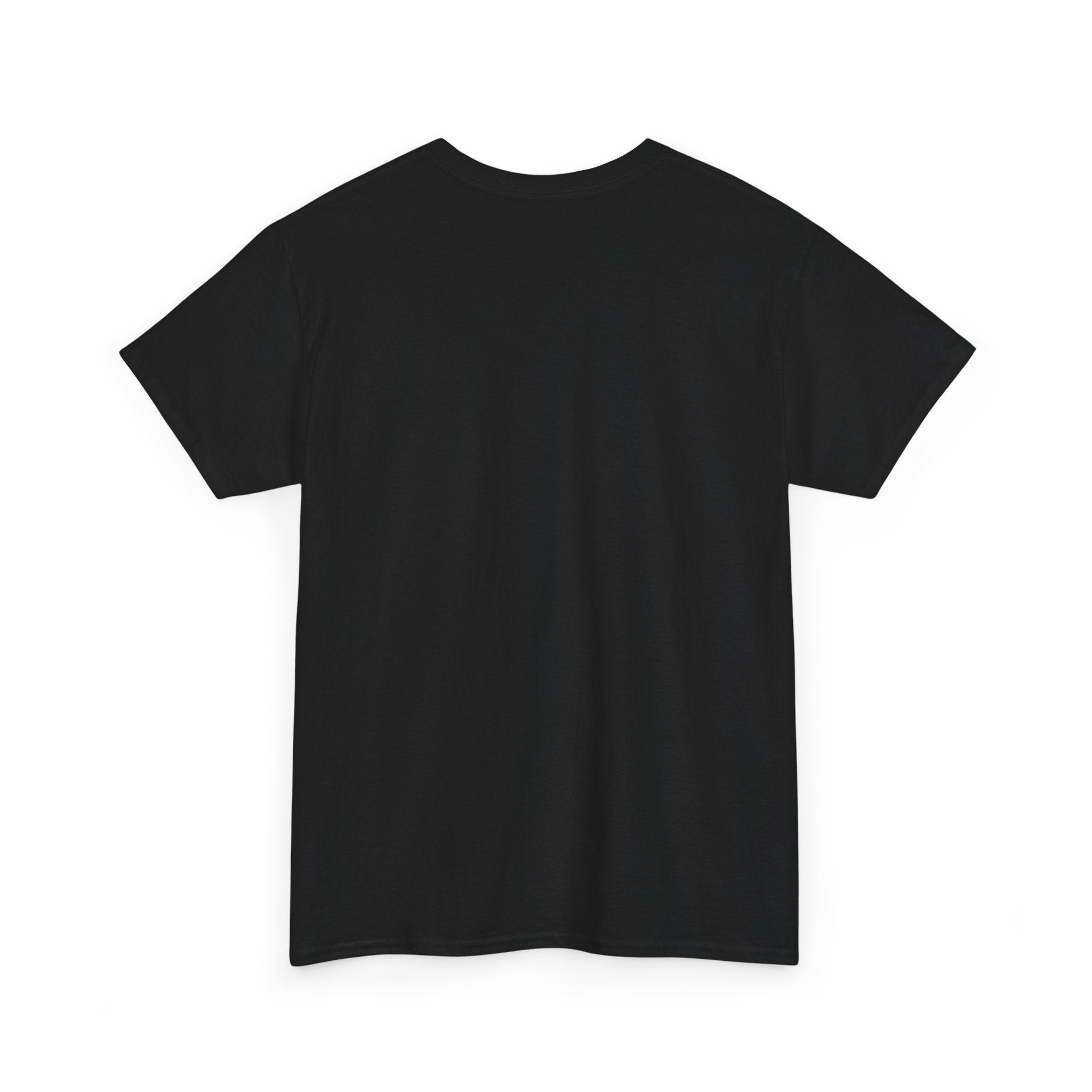 Unisex Heavy Cotton Tee - DMT Spheres No.2