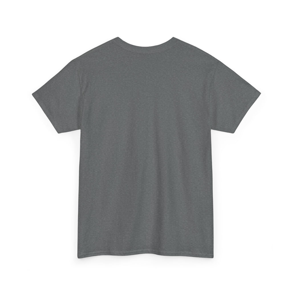 Unisex Heavy Cotton Tee - DMT Spheres No.1