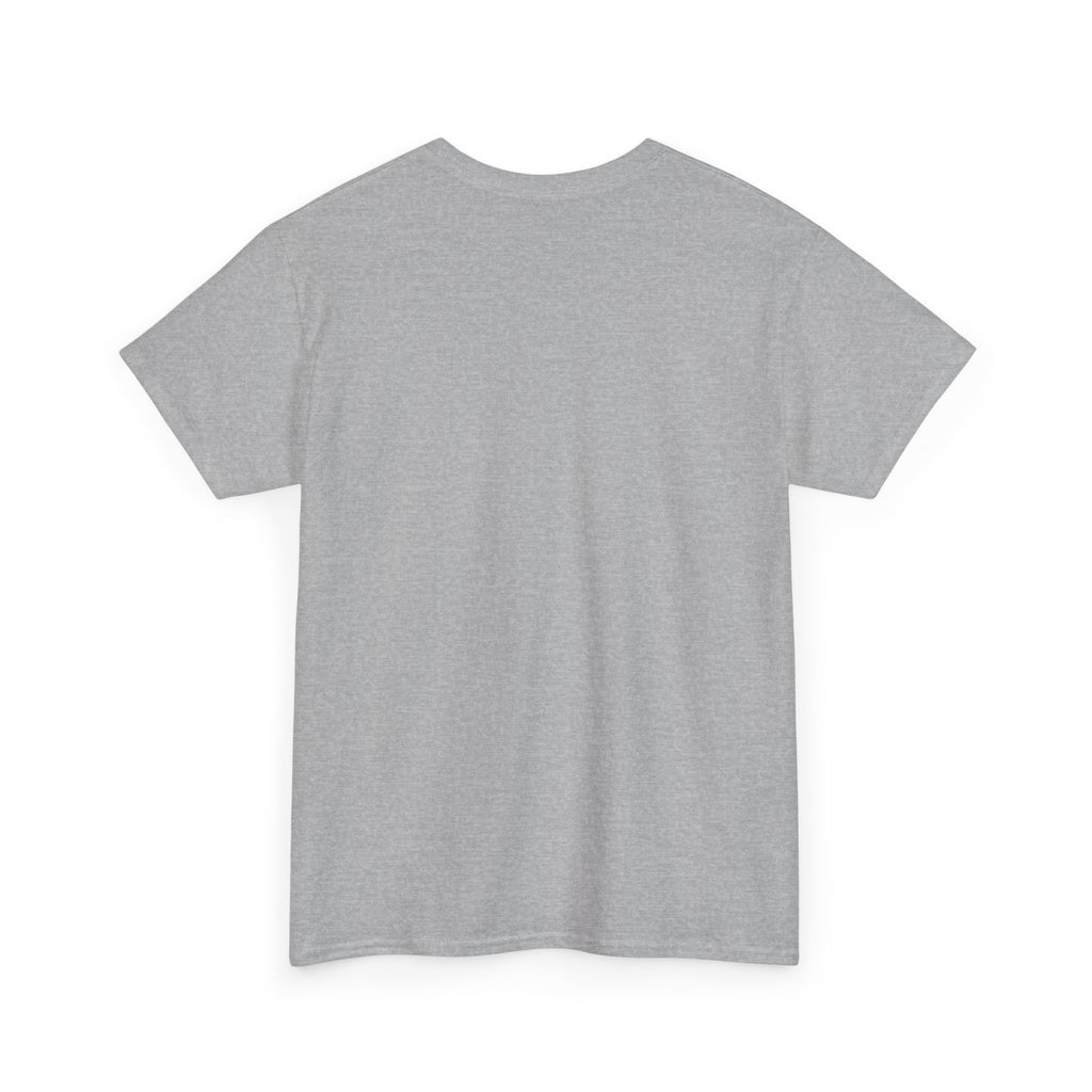 Unisex Heavy Cotton Tee - DMT Seer No.4
