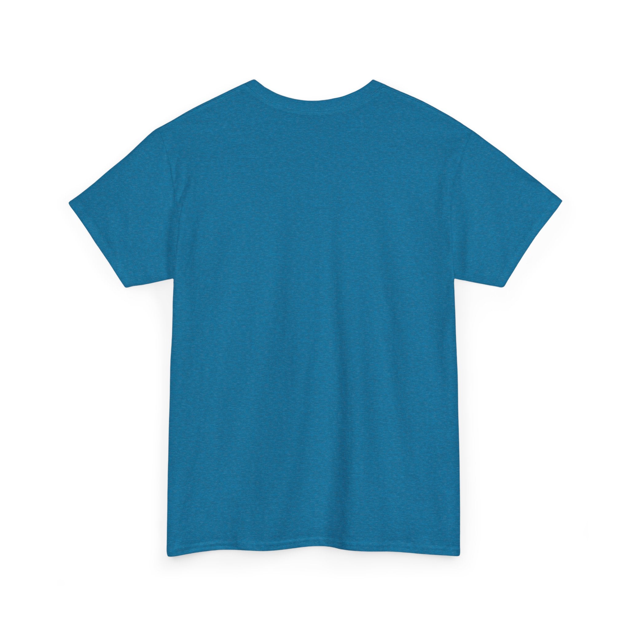 Unisex Heavy Cotton Tee - DMT Spheres No.2