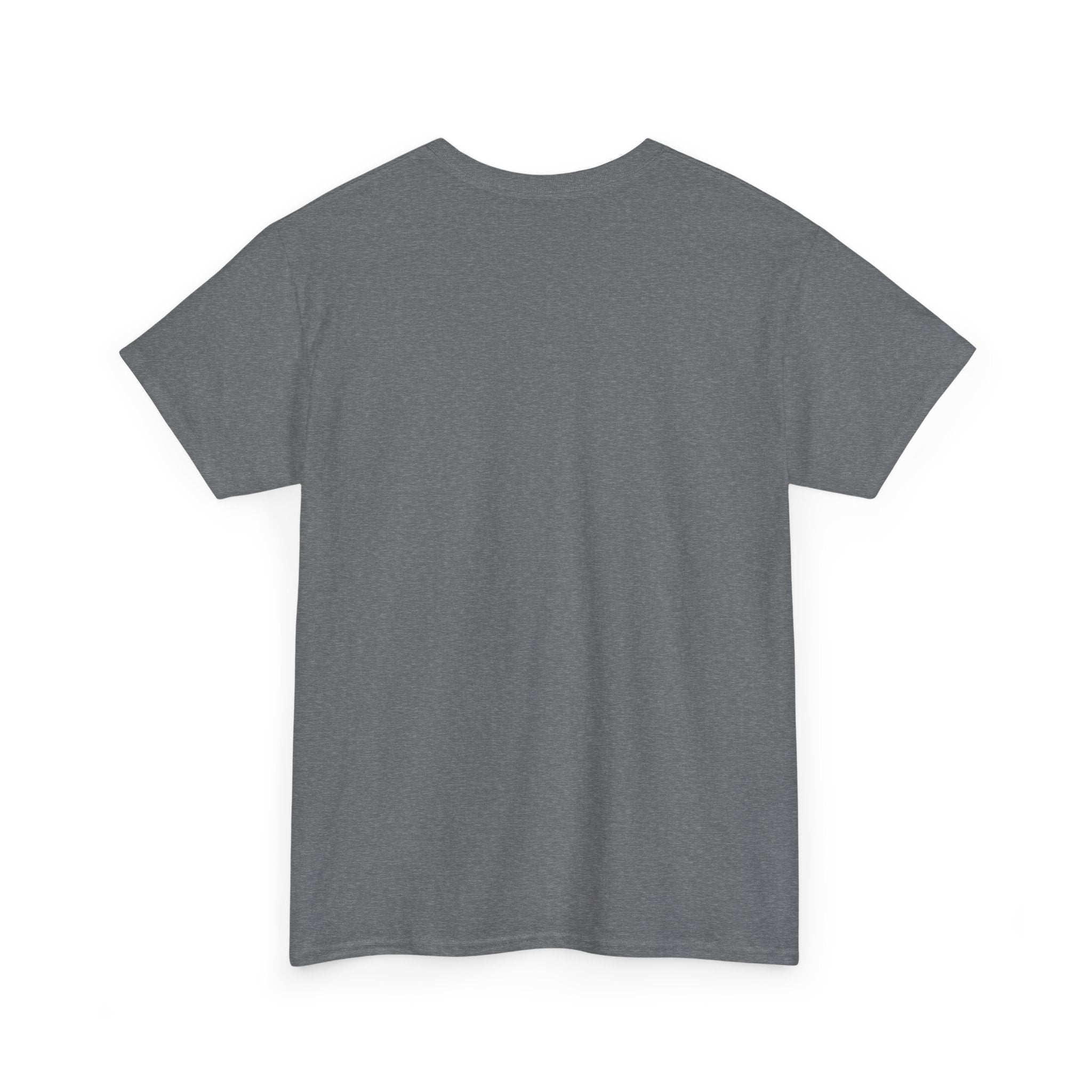 Unisex Heavy Cotton Tee - DMT Dynamic No.1