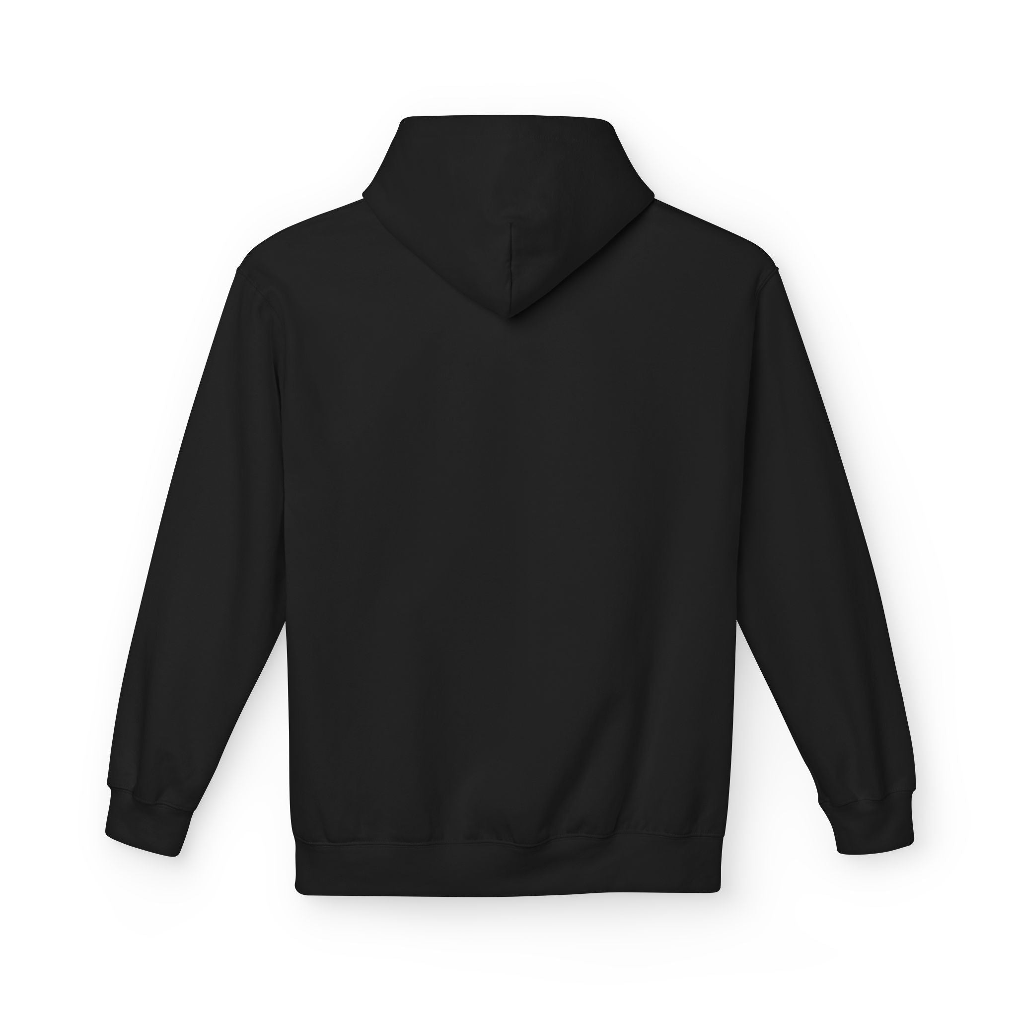 Unisex Midweight Softstyle Fleece Hoodie - DMT Scribe Spheres No.9
