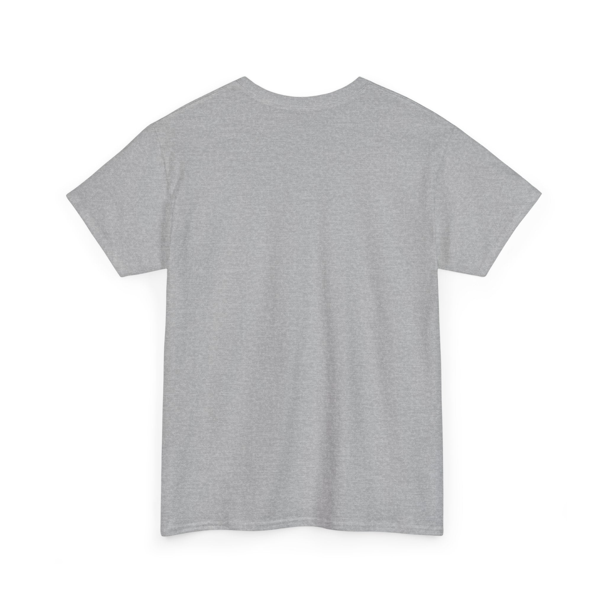 Unisex Heavy Cotton Tee - DMT Dynamic No.2