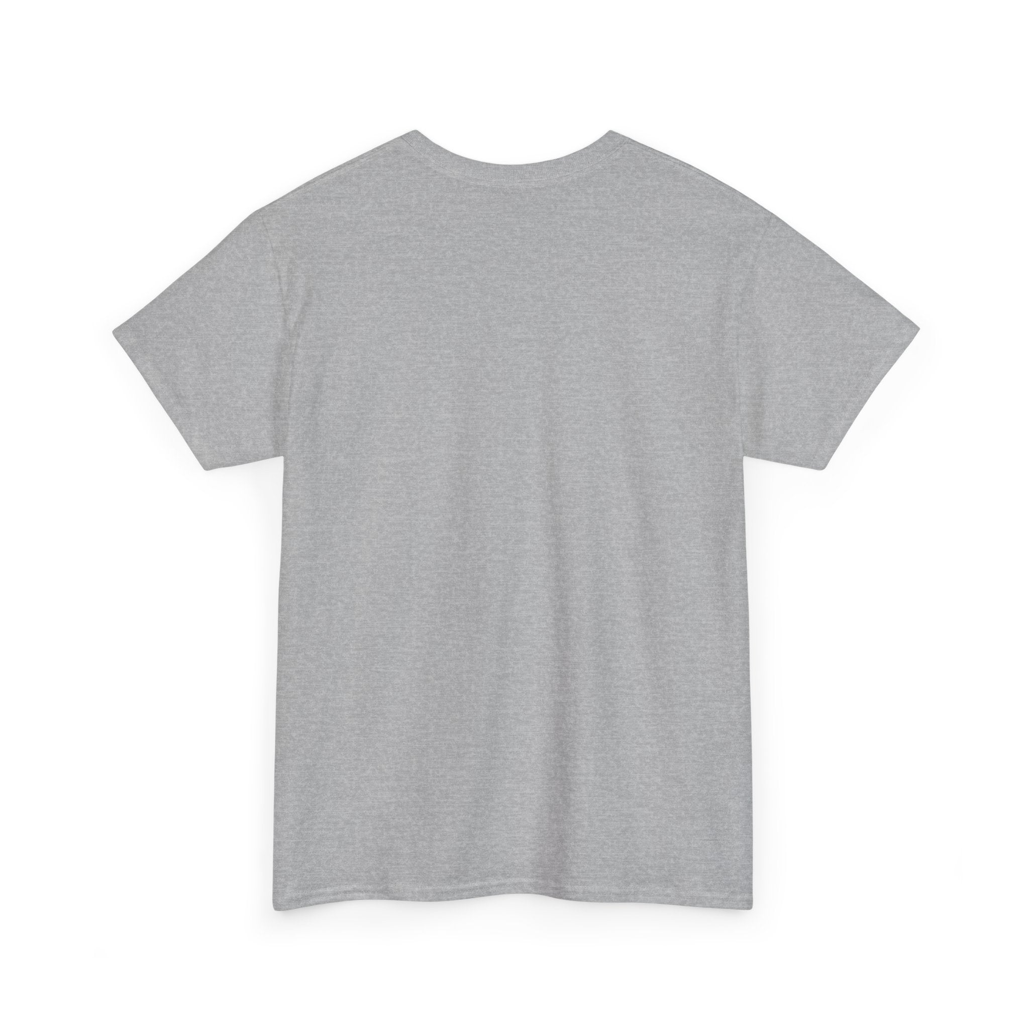 Unisex Heavy Cotton Tee - DMT Seer No.1