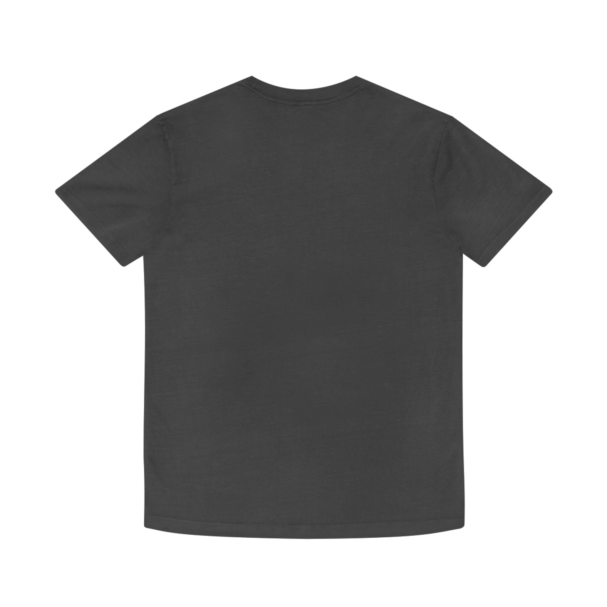 Unisex Faded Shirt -The Traveller Series (Seeing)
