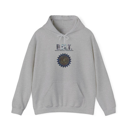Unisex Heavy Blend™ Hooded Sweatshirt - DMT MMV No.1