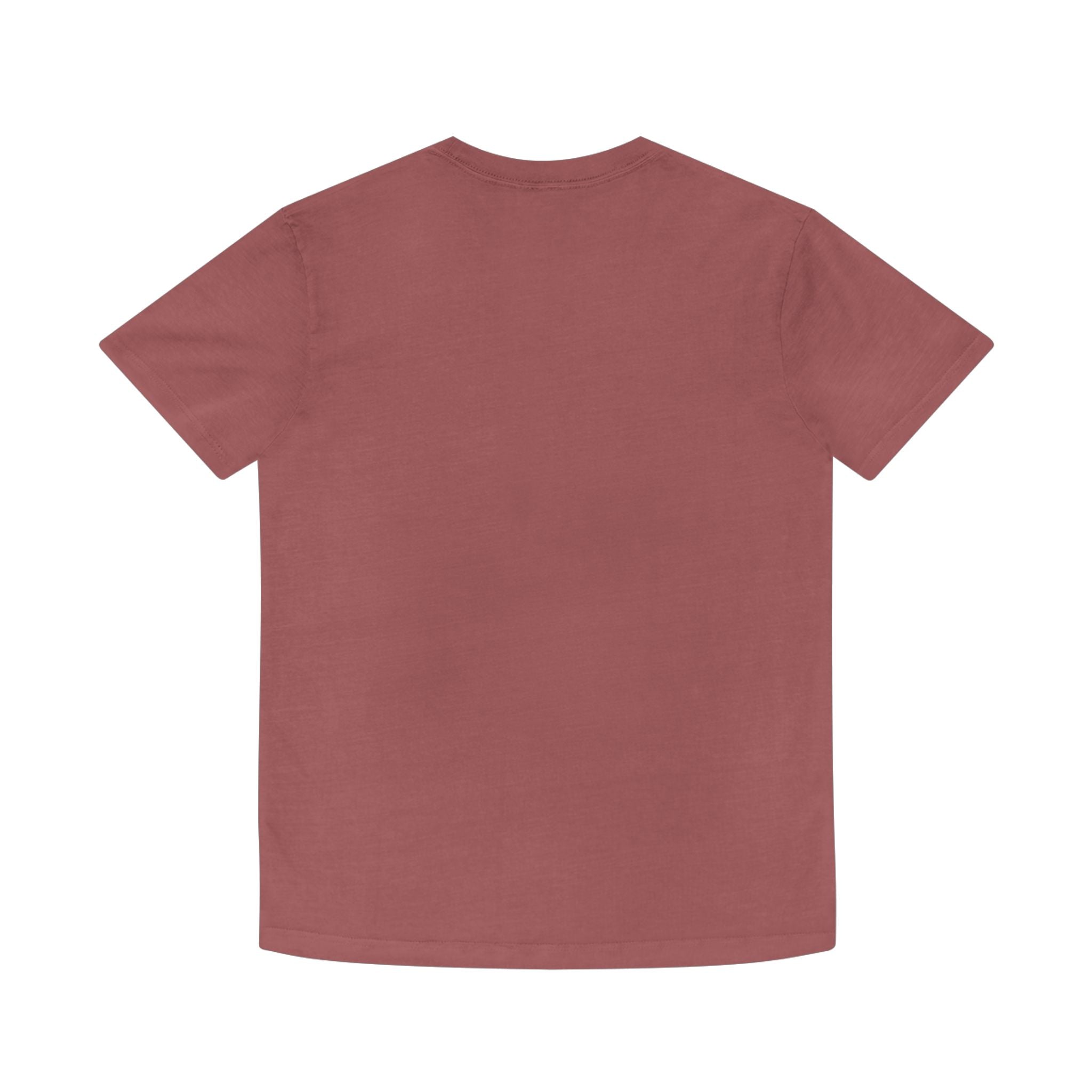 Unisex Faded Shirt -The Traveller Series (Seeing)