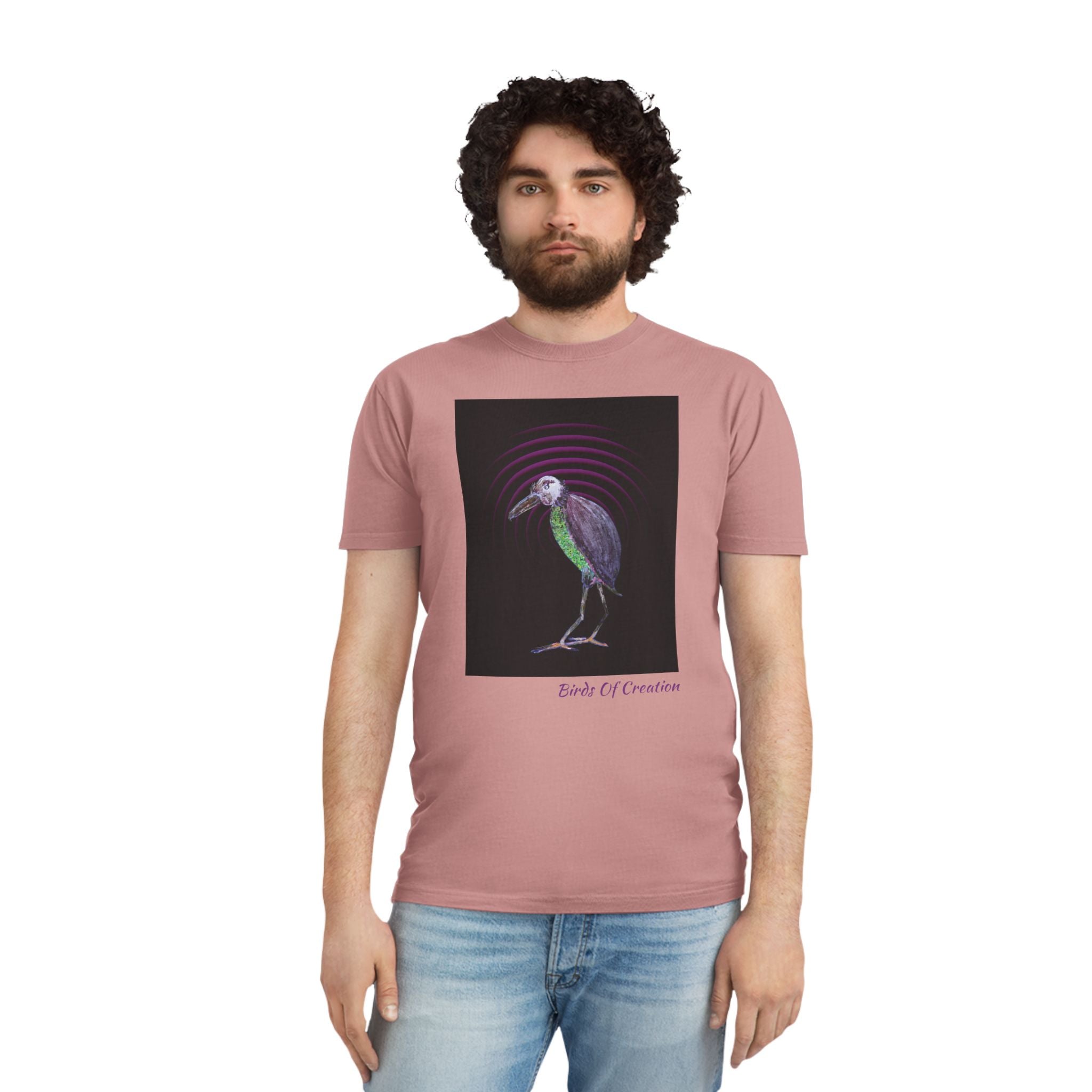 Unisex Faded Shirt - Birds Of Creation No.2b